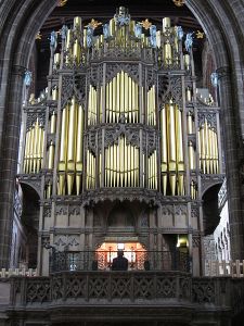The organ