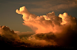 20090619211132_duck-cloud