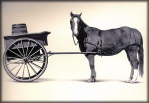 cart-before-the-horse
