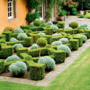 http://www.housetohome. co.uk/garden/picture/ box-parterre-garden