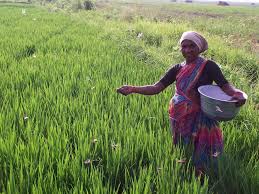 [PDF] Women's Inheritance Rights to Land and Property in South Asia: A ... www.landesa.org Women's Inheritance Rights to Land and Property in South Asia: A Study of Afghanistan, Bangladesh, India, Nepal, Pakistan, etc.