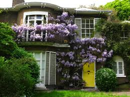 Houses England Hampstead Windows www.wallpaperup.com