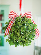 4-mistletoe.jpg