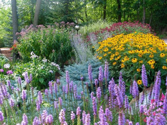 HGTV2501174-gardens-rms_perennials-minnesota-triciaf_s4x3.jpg.rend.hgtvcom.966.725.jpeg