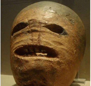 Screen Shot 2019-09-24 at 2.14.48 PM